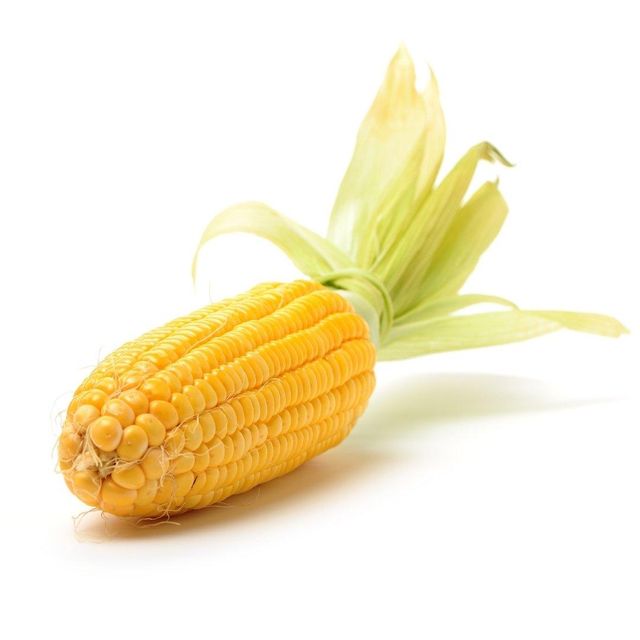 Organic Grain Provider Delivering Yellow Maize For Importers With Natural Farming Methods - Image 4