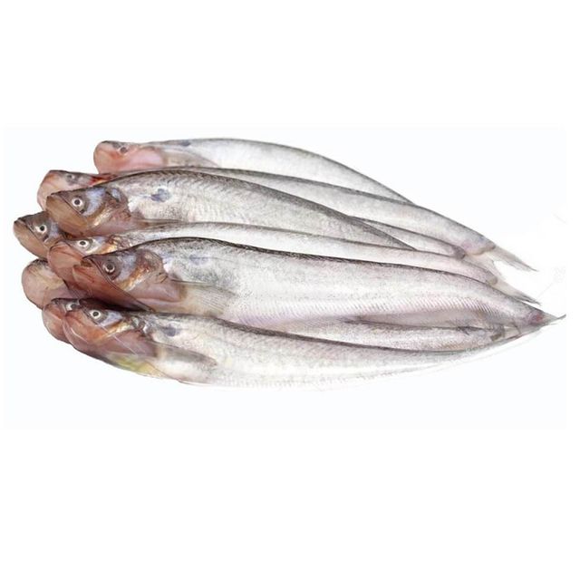 Frozen Catfish Vacuum Packed Frozen Seafood Selection For Reliable Export Supply And International Buyers - Image 5