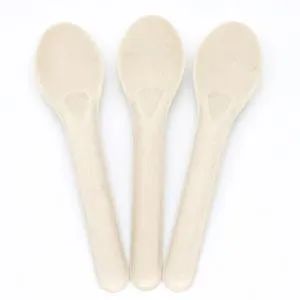 Sugarcane Pulp Spoons Disposable Biodegradable Paper Spoons Cutlery - Image 2