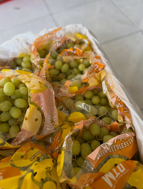 Thompson Seedless Premium Australian Green Grapes 5Kg Export Quality,Premium Table Grapes On Sale - Image 1