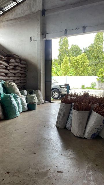 Premium Indonesian Cassia Cinnamon (Sticks & Powder) – Export Grade from Medan - Image 3