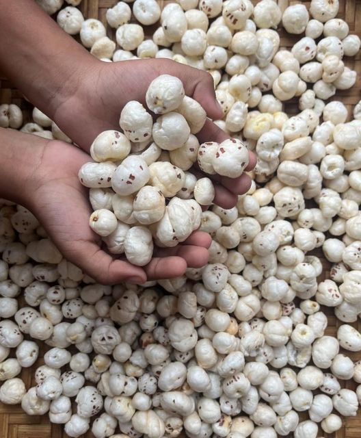 Fox nuts Shelf Life 12 Months Max. Moisture (%) 12% Grade 4 Grade - $10.21, 4+ Grade Hand Picked - $14.23, 5 Grade - $15.32, 5+ Grade Hand Picked - $17.07, 6 Grade - $19.42, 6+ Grade Hand Picked - $21.68, 6+ Grade Semi Hand Picked - $19.83, 7+ Grade Hand Picked - $28.12 - Image 3