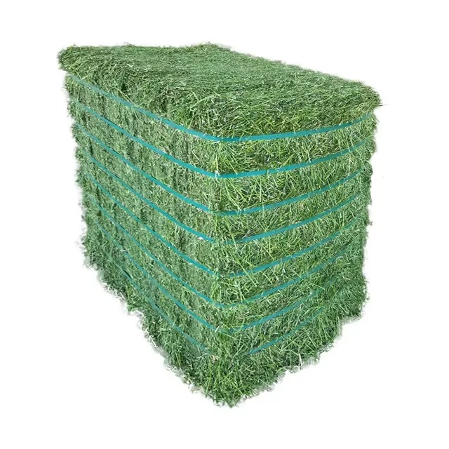 Natural Timothy Grass for Animal Feed Top Grade Timothy Grass Premium Hay for Farm Animals Rich in Fiber and Nutrients - Image 4