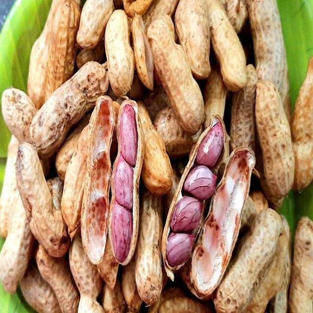 Buyers for Wholesale Jumbo Raw Peanuts High Quality Natural Bold Blanched Peanuts Kernels - Image 1