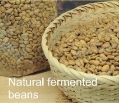 Coffee & Coffee Bean Price Per Kilogram Usd 5 Supply Chain Reliability Dependable Quality Assurance Backed By Quality Assurance - Image 5
