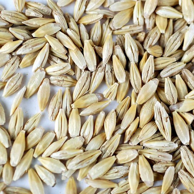 Premium Export Barley Grain High Nutritional Content Clean Processed Bulk Supply For Buyers – product photo 2, product detail gallery
