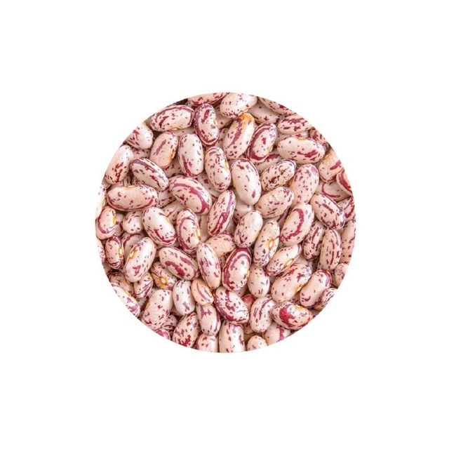 Top quality sugar beans for supermarkets and dry goods vendors - Image 2