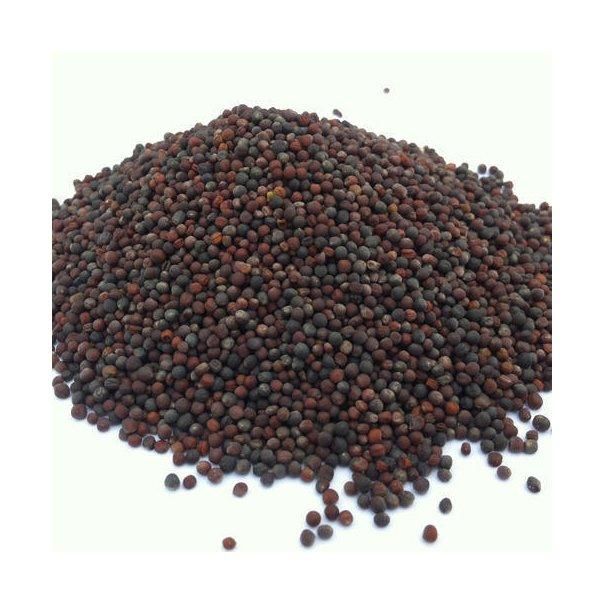 Rapeseed bulk supply at factory discount price for global importers - Image 4