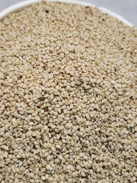 sesame seeds Aroma Rich Flavor Rich Shelf Life Longer Packaging Pp Bags Admixture Below 1% Moisture Level ≤6% Purity 99% Minimum - Image 3