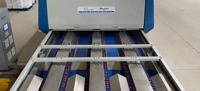 Sorting machiine for small size fruits Type sorting machine, grading machine, calibration machine Customization Designed According To Customer's Factory Area - Image 4