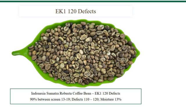 Robusta Coffee Beans Lampung (Grade – product photo 2, product detail gallery