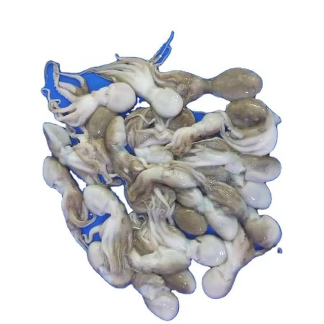 Amaze Seafood Trade - Offering Frozen Baby Octopus whole and cleaned - Image 1