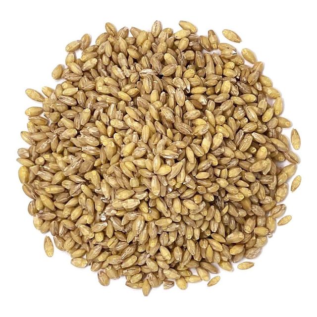 Premium Barley Grain For Wholesale Buyers High Quality Barley Grain Packed Fresh For Global Export And Bulk Orders - Image 2
