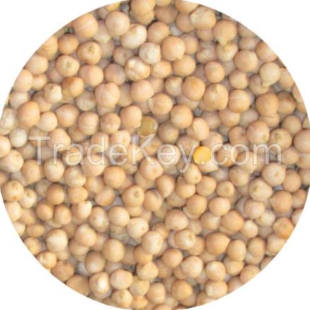 salted roasted chickpeas - Image 1