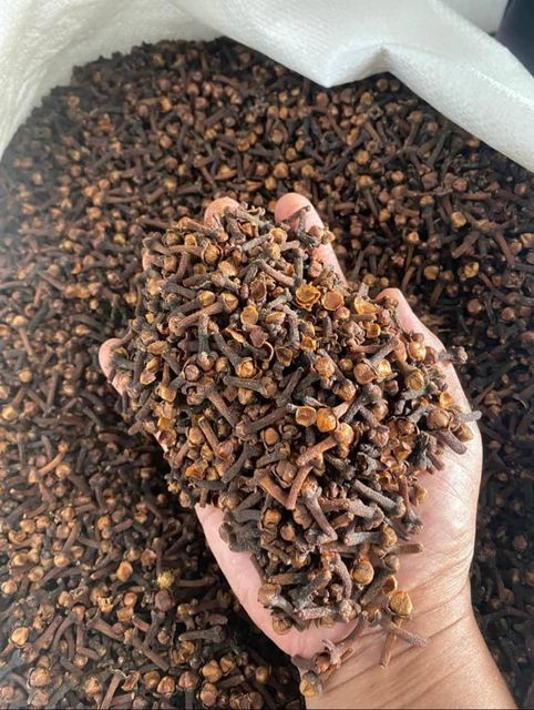 FOREST CLOVES Origin Indonesia Features Organic Product Type Olive Oil, Spices, Spices, Seasonings & Flavors - Image 1