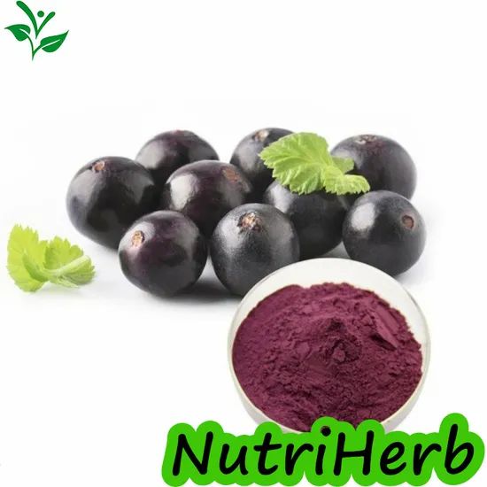 100 Natural Pure Organic Acai Berry Extract Acai Berry Juice Powder - Image 1