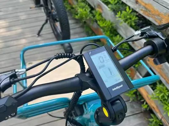 Adult Fashion Color Cargo Bike 500W Rear Hub Motor - Image 5