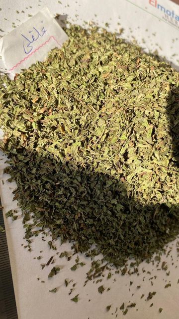 Egyptian Dried Cut Mint (Mentha) – Premium Quality, Export Grade - Image 4