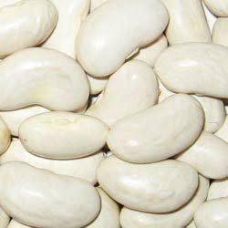 Factory Price White Kidney Beans in Bulk Wholesale Packaging Fat 0.5g Fiber 6.4g Iron 2.9mg Zinc 1.1mg Sugars 0.3g Prote - Image 3