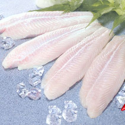 Premium quality Frozen Pangasius Fillet / Basa fish Fillet EU Standard IQF - Image 1