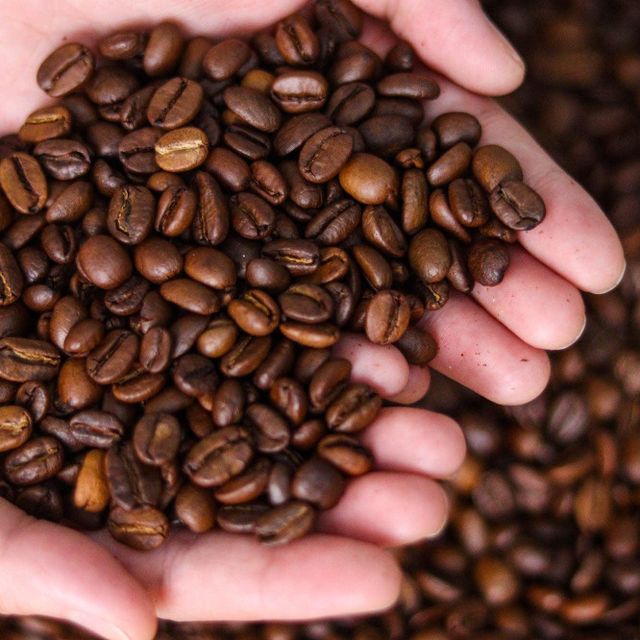 Farm Selected Robusta Coffee Bean 98% Purity Assured Robusta Coffee Bean For Professional Roasting Companies - Image 4