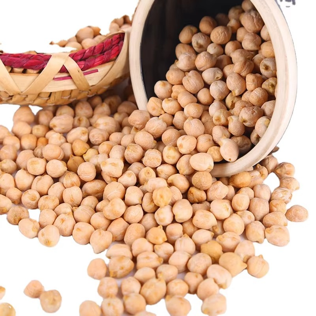 Kabuli Chickpeas With Bright Color And Uniform Grain Structure For Bulk Packing And Wholesale Food Ingredient Buyers - Image 1