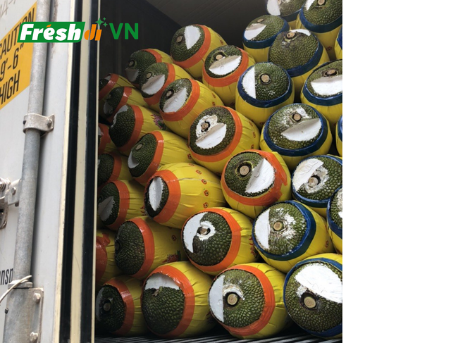 Frozen durian from Vietnam Brix 28–35% Aroma Strong Texture Creamy Additives None Origin Vietnam Preservatives None Shelf Life 12–24 Months - Image 3