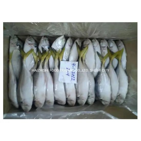New Stock Oman Origin Frozen Yellow Tail Scad Fish Style Whole Processing BQF Trademark HEALSEA Origin Fujian, China Storage Temperature - Image 1