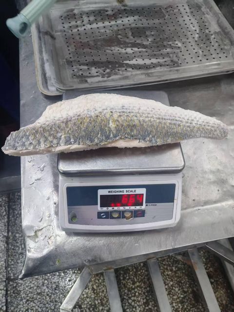 Frozen Mullet Fillet - Image 2