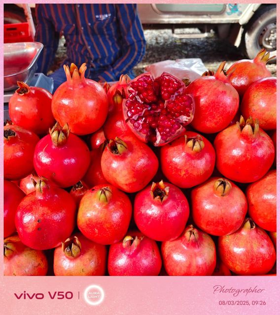 Pomegranate Fruit - Image 1