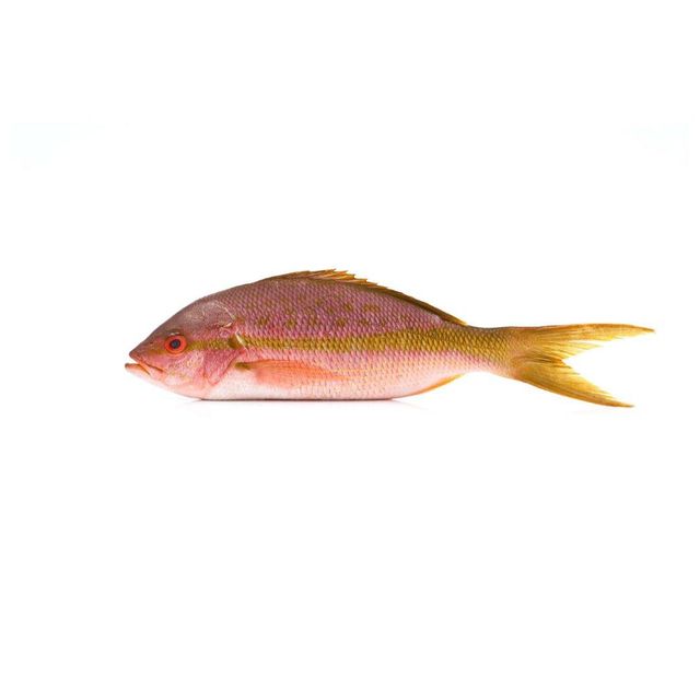 fresh seafood wholesale good quality Frozen Red snapper fish Cut Breast Freshness Level Frozen Features No Preservatives - Image 3