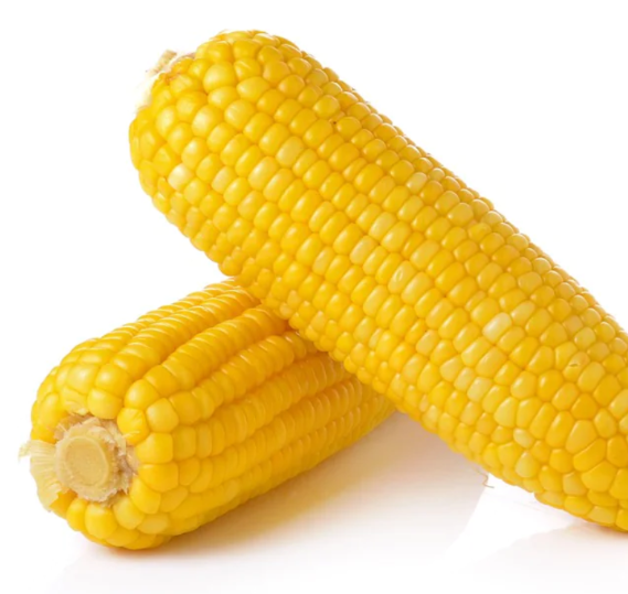 White corn yellow maize 50kg per bag 25tons 15days yellow corn animal feed Dried Grade 2 White Maize/Corn Non- - Image 3