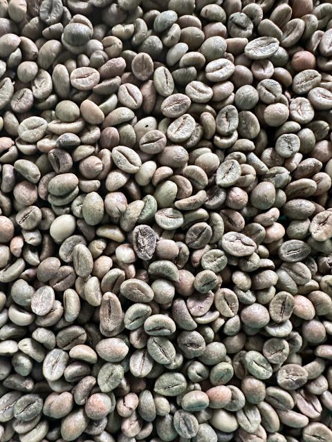 Green Coffee Beans – product photo 2, product detail gallery
