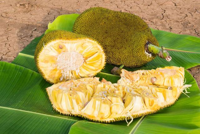 High Quality Fresh Sweet Jackfruit Delicious Tropical Fruit from Vietnam Organic Agriculture Product - Image 5