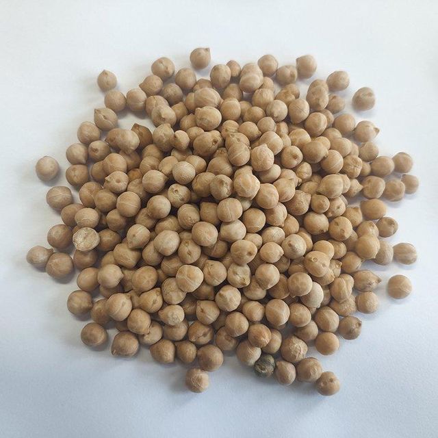 Wholesale Bulk Natural Split Chickpeas - Image 4