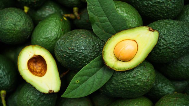 hass avocado - Image 4