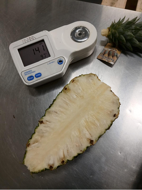 Fresh Pineapple (Pain de Sucre) - Image 4