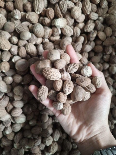 Nutmeg All Grade - Image 5