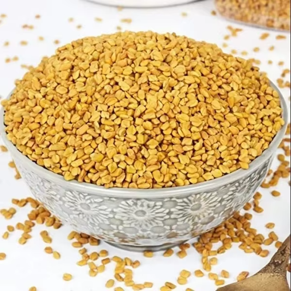 High Quality Fenugreek Seeds Wholesale Supply – Carefully Processed, Naturally Dried, and Rich in Flavor Spice Product Ideal for Cooking, Herbal Medicine, Food Manufacturing, and Nutritional Supplement Industries, Delivered in Bulk Quantities with Strict Quality Assurance, Reliable Packaging Solutions, and Stable International Export Standards for Consistent Business Supply ensuring freshness and traceability - Image 4