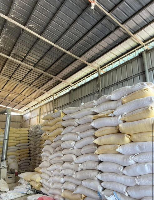 Yellow corn / Corn for animal feed / Yellow corn for poultry feed - Image 3