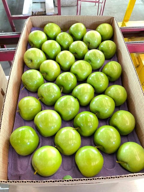 Fresh Gala, Golden, And Red Apples - Image 3