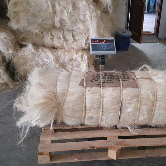 Sisal Fiber for Gypsum Hair Buy Wholesale Price In Stock Fast Delivery Textile Sisal Fiber for Construction and Industrial Use - Image 5