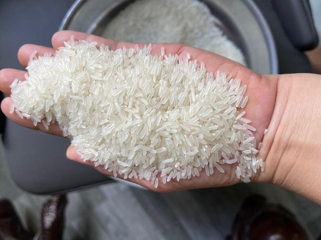 Vietnam Jasmine Rice Texture Soft Origin Vietnam Features Organic Shape long grain Color Ivory-white Shelf Life 2 years Max. Moisture (%) 5% max - Image 4