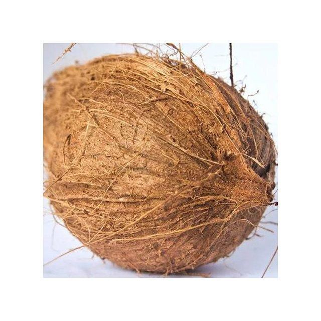 Low cost fresh coconut positioned for professional resale and trade flow - Image 4