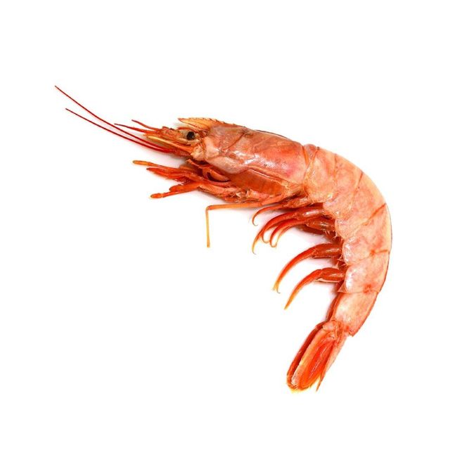 Frozen Red Shrimps available for sale at wholesale price for global buyers - Image 2