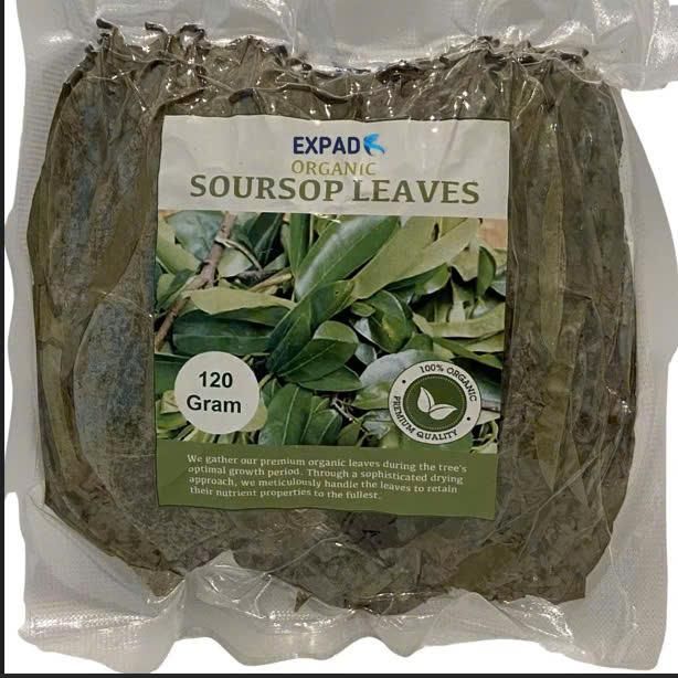 DRIED SOURSOP LEAVES Origin vietnam Features Organic Delivery Form Tea Bag, Tea Leaves Packaging custommer . 20 gram - 30 gram - 100gram and in bulk - Image 3