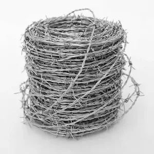 Hsj High Quality Roll Barbed Wire Razor Barbed Galvanized Wire for Farm Fence - Image 3