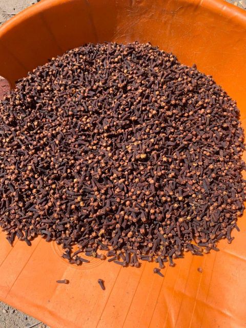 cloves lalpari indonesia - Image 2