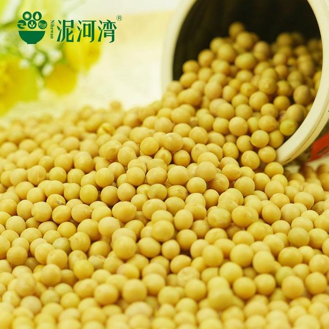 2023 Crop Chinese High Protein soya en grano Yellow Soybean Soya Beans / Soy Bean For Sale - Image 3