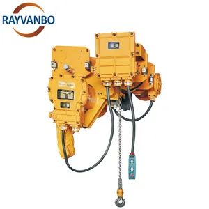 1 Ton 2 Ton 5 Ton Customized Electric Hoist Industrial-Grade Explosion ...